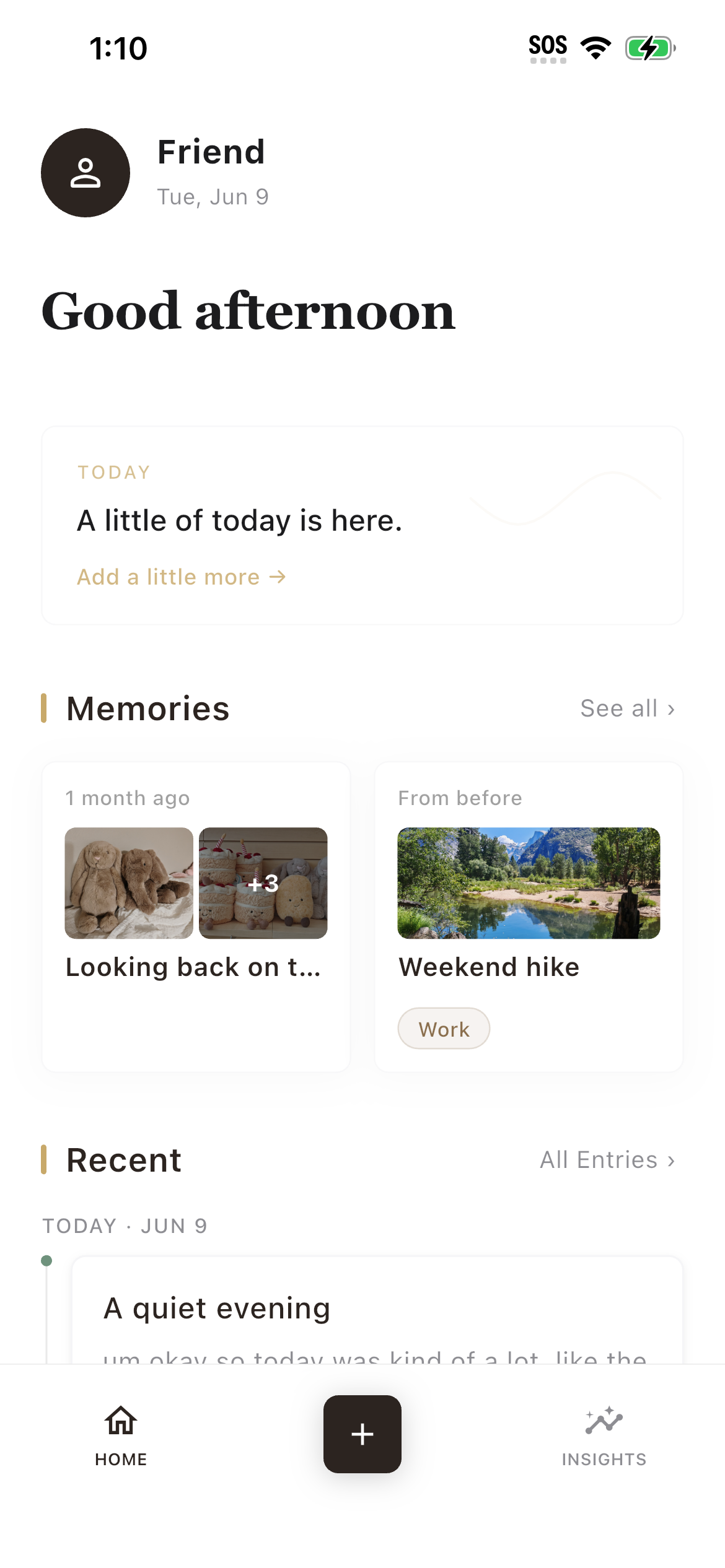 DaySpeak memories screen